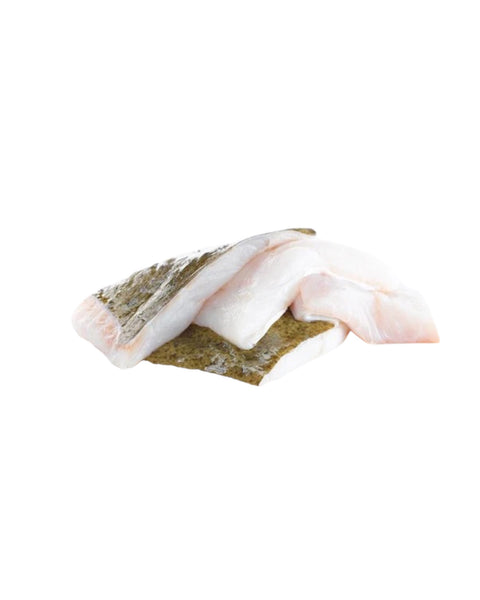 Fresh Turbot Fillets