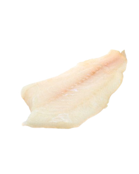 Frozen Icelandic Cod Fillets