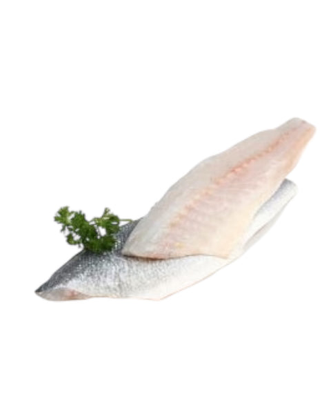 Frozen European Bass (Branzino) Fillets