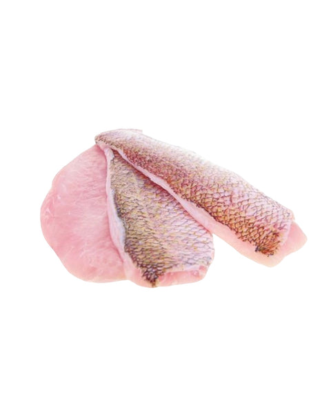 Frozen Rose Fish Fillets