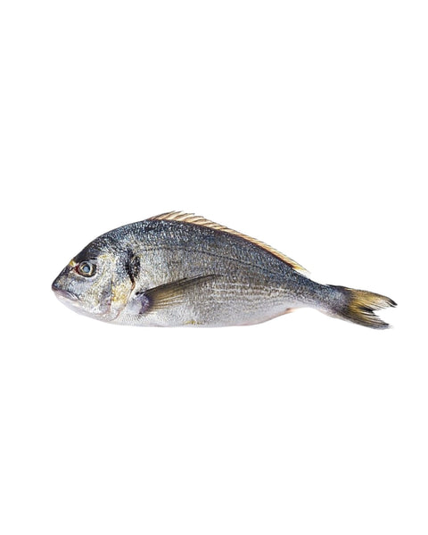 Whole Fresh Sea Bream (Dorade)