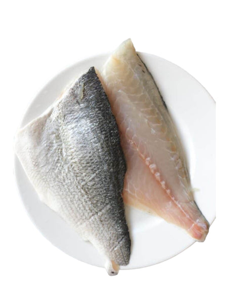 Frozen Sea Bream Fillets