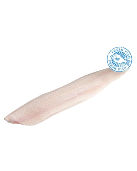 Frozen Whitefish Fillets