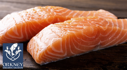 Organic Salmon Portions
