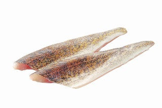 Frozen Pickerel Fillet