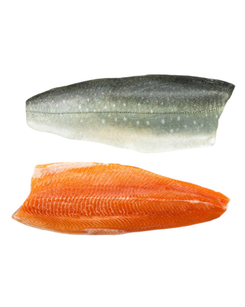 Frozen Steelhead Salmon-Trout